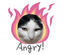 666984227