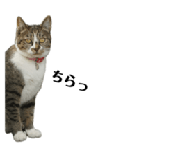 667004004