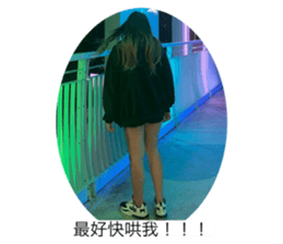 667028816