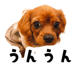667033530