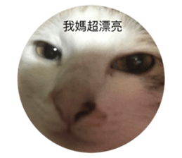 667060706