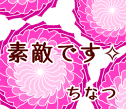 66706258