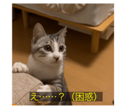 667073394