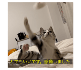 667073408