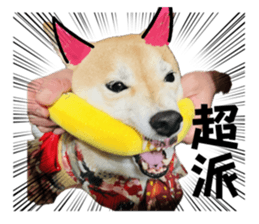 667098949