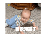 667128631