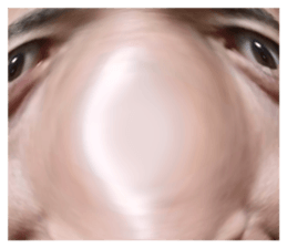 667187781