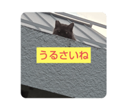 667226239