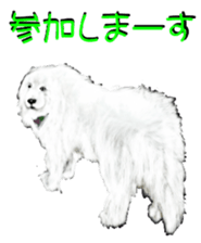6672325