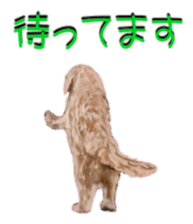 6672326