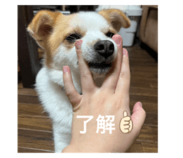 667238045