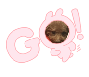 667254236
