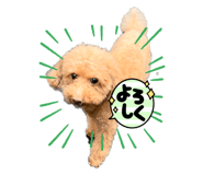 667254242