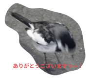 667271124