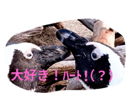 667271129