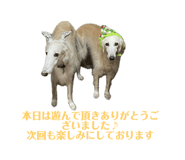 667277847