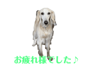 667277848