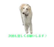 667277849