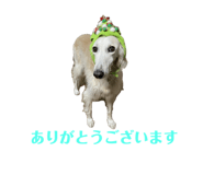 667277850