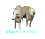 667277852