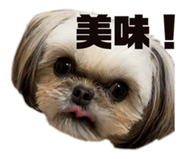 667286728