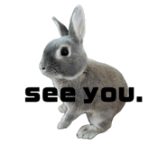 667287051