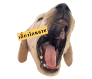 667307096