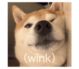 667316561