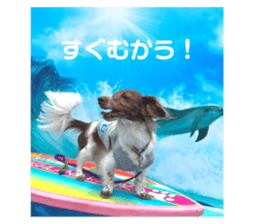 667383899