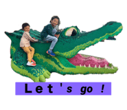 667433706