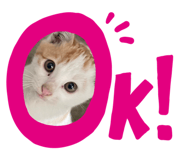 667435519