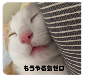 667435528