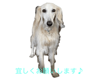 667435871