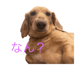 667439861