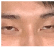 667446212