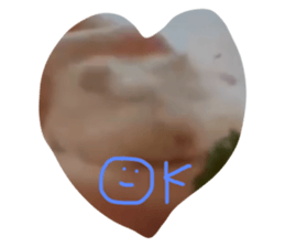 667448995