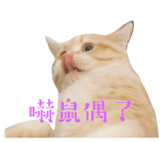 667456308