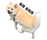 667464999
