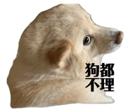 667465002