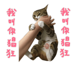 667473104