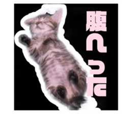 667479104