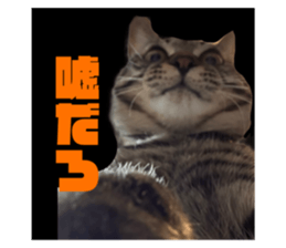667479106