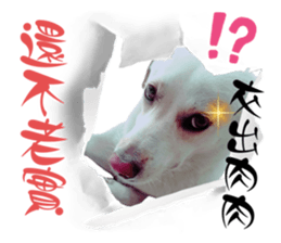 667485741