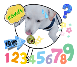 667485742
