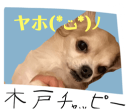 667491512