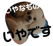 667573301