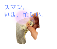 667573666