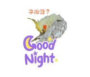 667573671