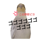 667573674