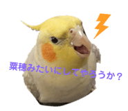 667573677